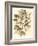 Sepia Munting Foliage V-Abraham Munting-Framed Art Print