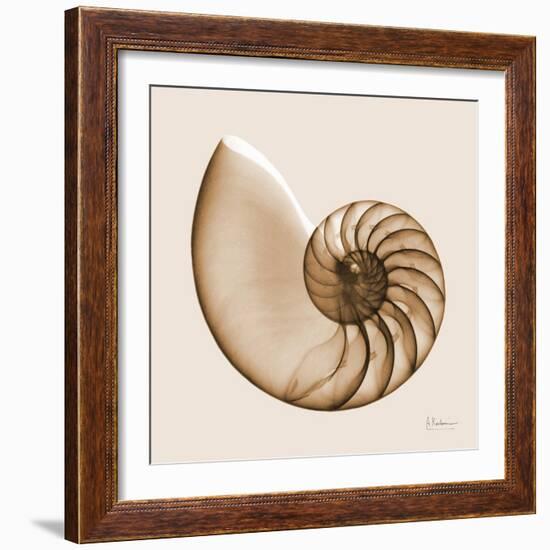 Sepia Nautilus 1-Albert Koetsier-Framed Art Print