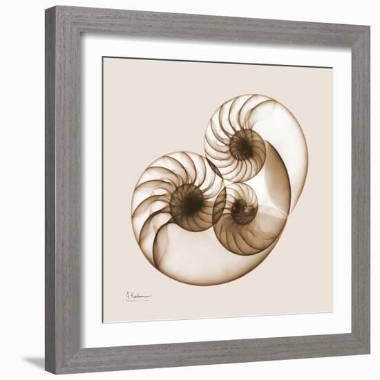 Sepia Nautilus 2-Albert Koetsier-Framed Art Print