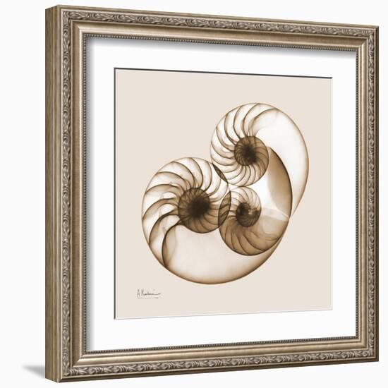 Sepia Nautilus 2-Albert Koetsier-Framed Art Print