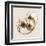 Sepia Nautilus 2-Albert Koetsier-Framed Art Print