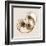 Sepia Nautilus 2-Albert Koetsier-Framed Art Print