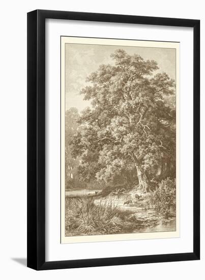 Sepia Oak Tree-Ernst Heyn-Framed Art Print