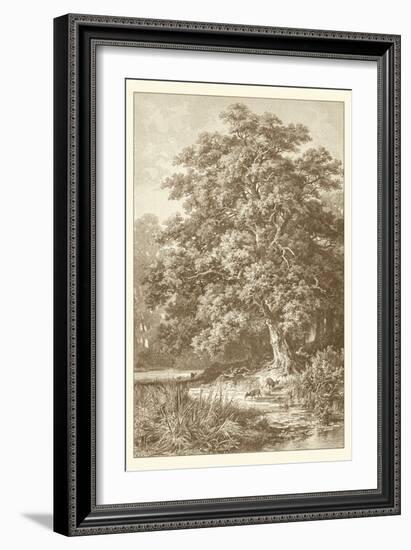 Sepia Oak Tree-Ernst Heyn-Framed Art Print