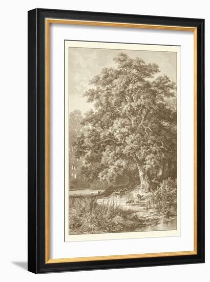 Sepia Oak Tree-Ernst Heyn-Framed Art Print