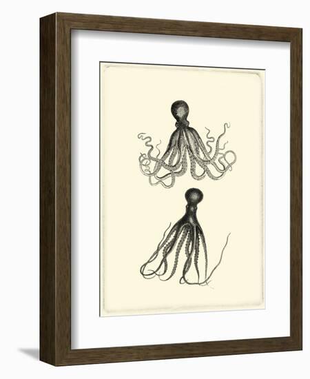 Sepia Octopus-Vision Studio-Framed Premium Giclee Print