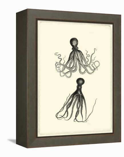 Sepia Octopus-Vision Studio-Framed Stretched Canvas