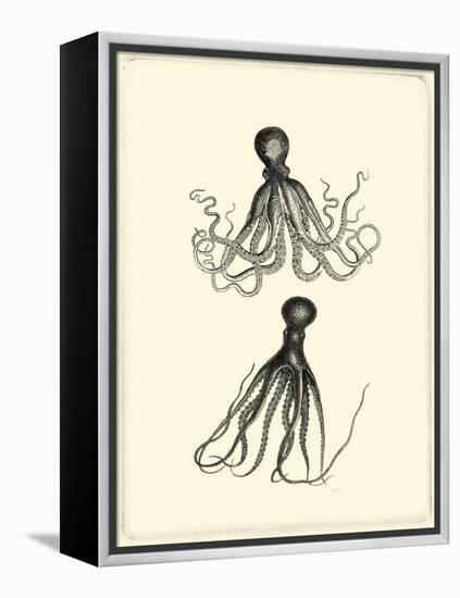 Sepia Octopus-Vision Studio-Framed Stretched Canvas