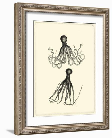 Sepia Octopus-Vision Studio-Framed Art Print