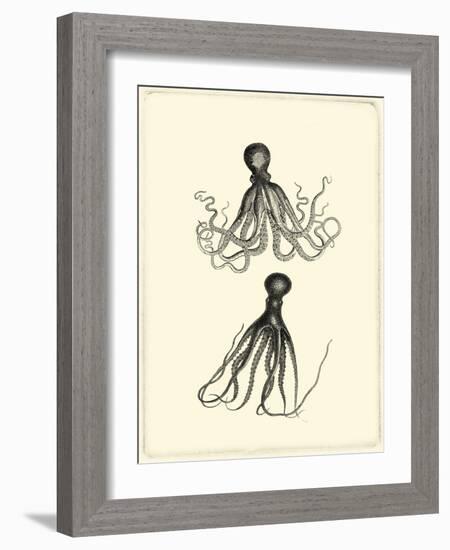 Sepia Octopus-Vision Studio-Framed Art Print