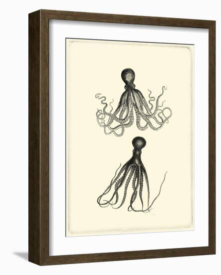 Sepia Octopus-Vision Studio-Framed Art Print