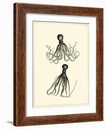 Sepia Octopus-Vision Studio-Framed Art Print