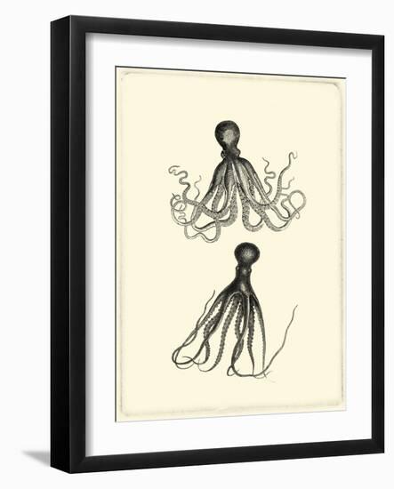Sepia Octopus-Vision Studio-Framed Art Print