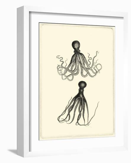 Sepia Octopus-Vision Studio-Framed Art Print