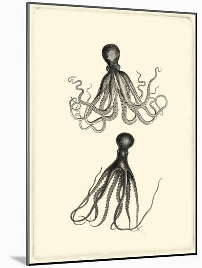 Sepia Octopus-Vision Studio-Mounted Art Print