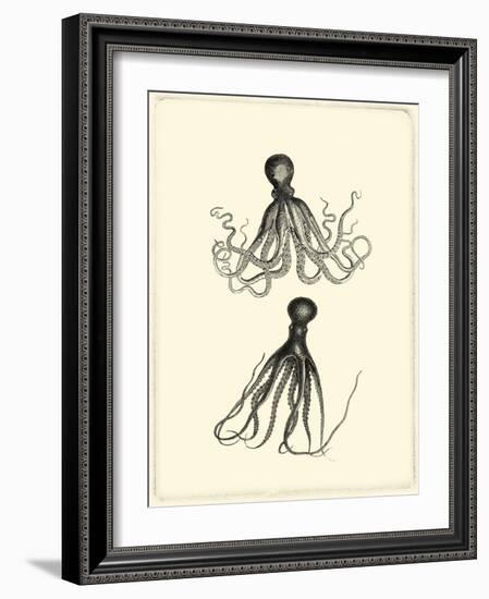 Sepia Octopus-Vision Studio-Framed Art Print