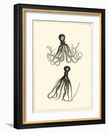 Sepia Octopus-Vision Studio-Framed Art Print