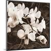 Sepia Orchid II-Christine Zalewski-Mounted Art Print