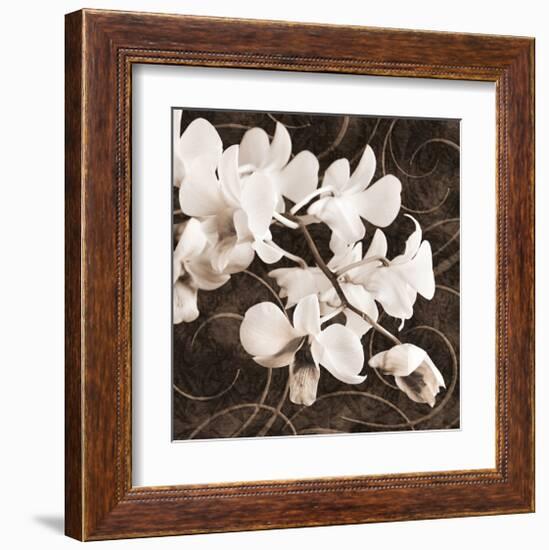 Sepia Orchid II-Christine Zalewski-Framed Art Print