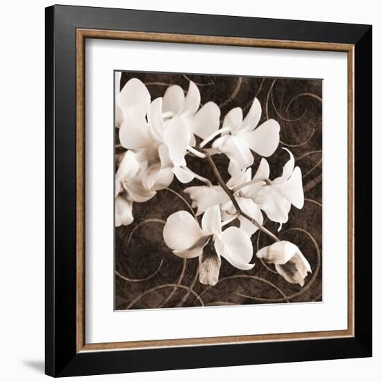 Sepia Orchid II-Christine Zalewski-Framed Art Print