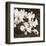Sepia Orchid II-Christine Zalewski-Framed Art Print