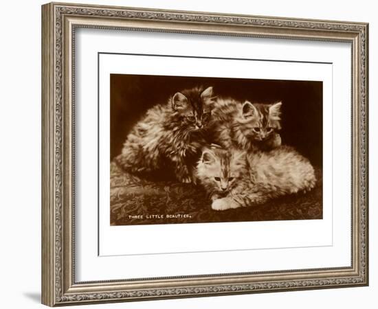 Sepia Photograph of Kittens-null-Framed Art Print