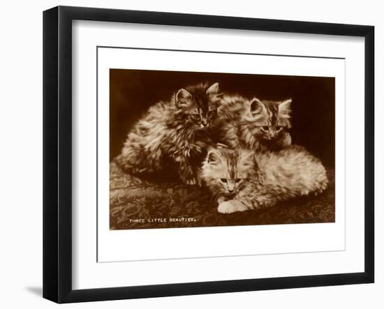 Sepia Photograph of Kittens-null-Framed Art Print