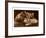 Sepia Photograph of Kittens-null-Framed Art Print