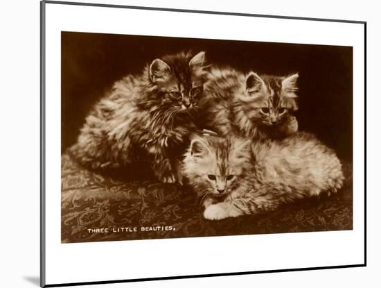 Sepia Photograph of Kittens-null-Mounted Art Print