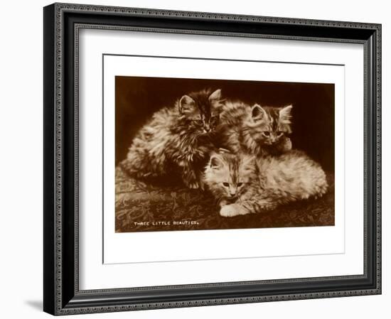 Sepia Photograph of Kittens-null-Framed Art Print