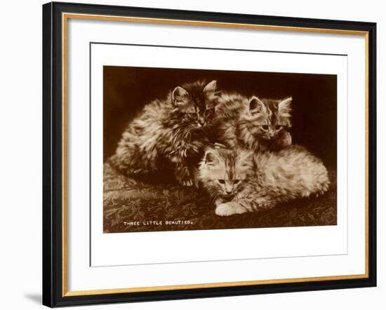 Sepia Photograph of Kittens-null-Framed Art Print