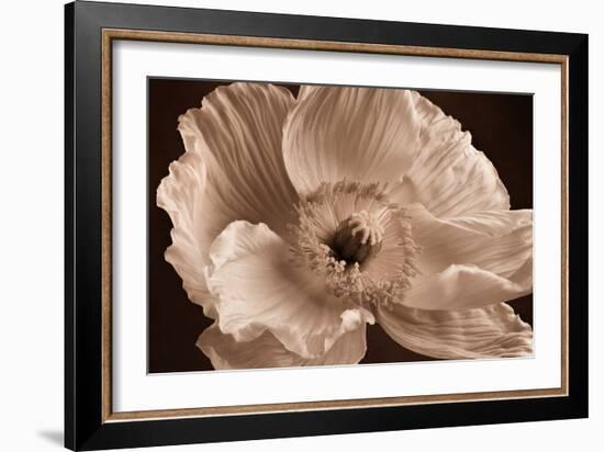 Sepia Poppy I-Cora Niele-Framed Photographic Print