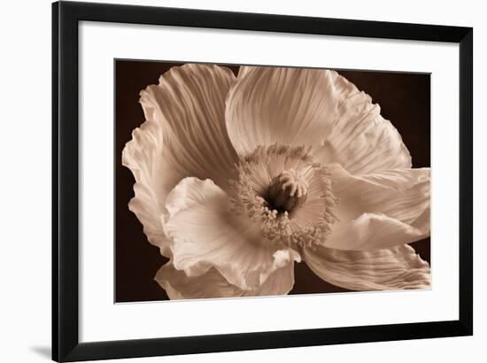 Sepia Poppy I-Cora Niele-Framed Photographic Print