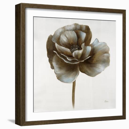 Sepia Poppy II-Drotar Drotar-Framed Giclee Print