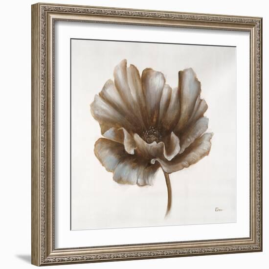 Sepia Poppy III-Drotar Drotar-Framed Giclee Print