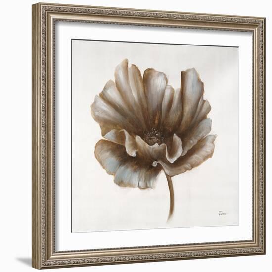 Sepia Poppy III-Drotar Drotar-Framed Giclee Print