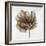 Sepia Poppy III-Drotar Drotar-Framed Giclee Print