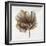 Sepia Poppy III-Drotar Drotar-Framed Giclee Print