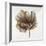 Sepia Poppy III-Drotar Drotar-Framed Giclee Print