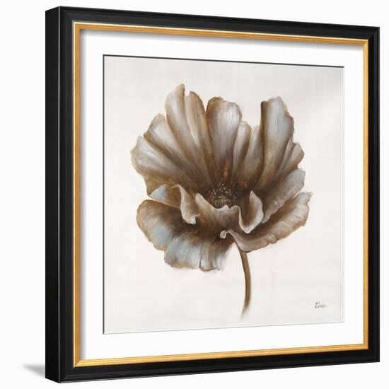 Sepia Poppy III-Drotar Drotar-Framed Giclee Print