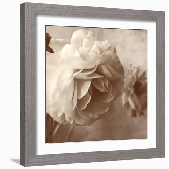 Sepia Rapture I-Judy Stalus-Framed Photographic Print