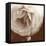 Sepia Rapture II-Judy Stalus-Framed Premier Image Canvas