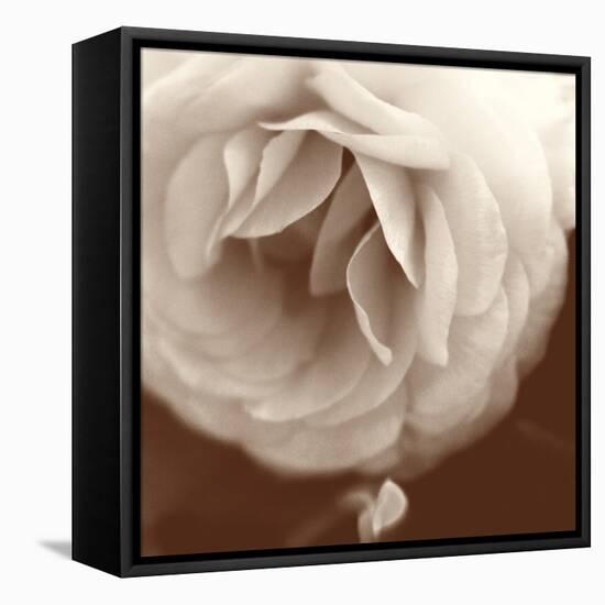 Sepia Rapture II-Judy Stalus-Framed Premier Image Canvas