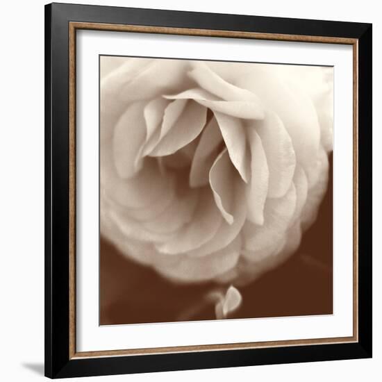 Sepia Rapture II-Judy Stalus-Framed Photographic Print