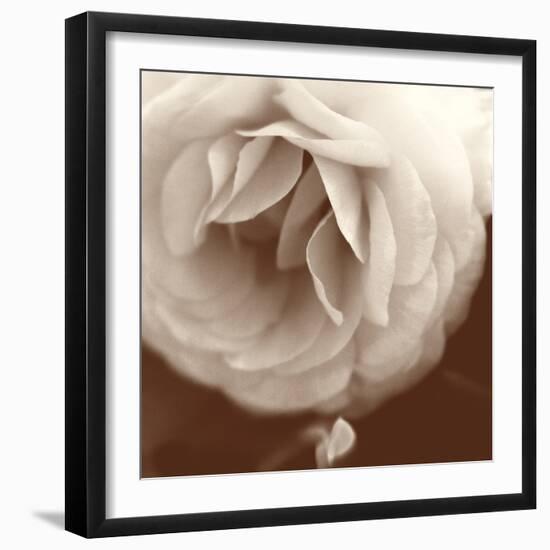 Sepia Rapture II-Judy Stalus-Framed Photographic Print