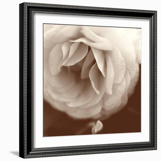 Sepia Rapture II-Judy Stalus-Framed Photographic Print