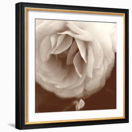 Sepia Rapture II-Judy Stalus-Framed Photographic Print