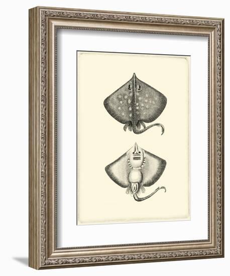 Sepia Rays-Vision Studio-Framed Art Print