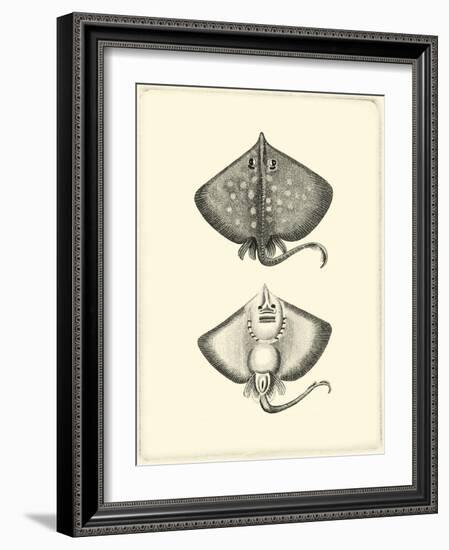 Sepia Rays-Vision Studio-Framed Art Print