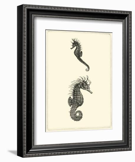 Sepia Seahorse-Vision Studio-Framed Art Print